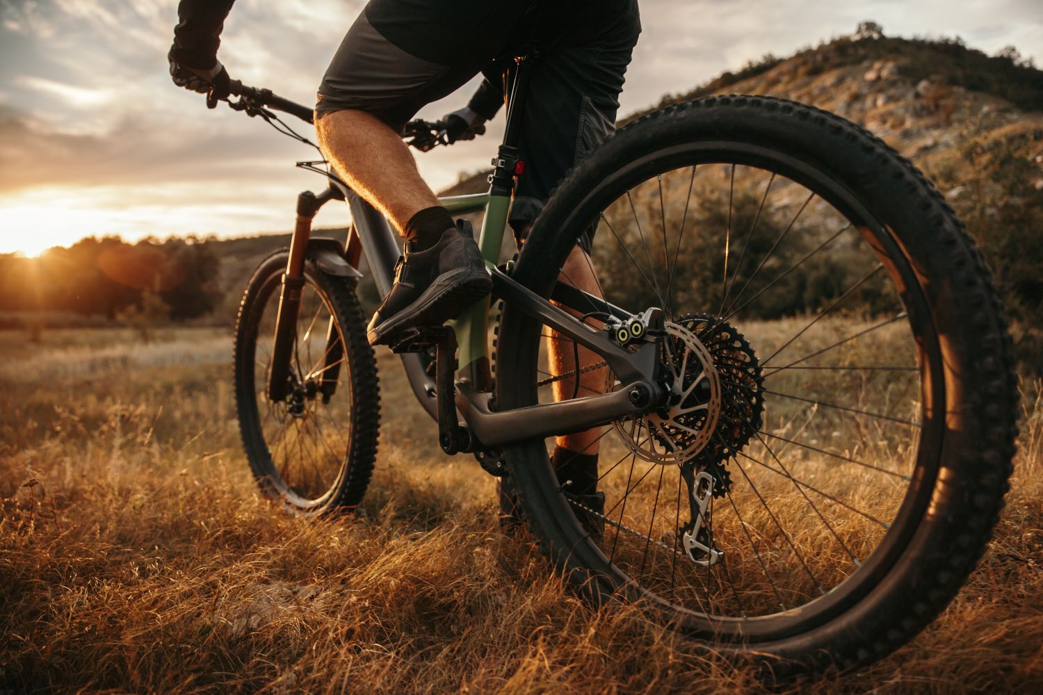 Mountain Bike Guide
